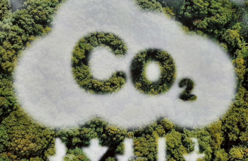 CO2 AUCUN MATERIAU NE PEUX RIVALISER AVEC LE BOIS